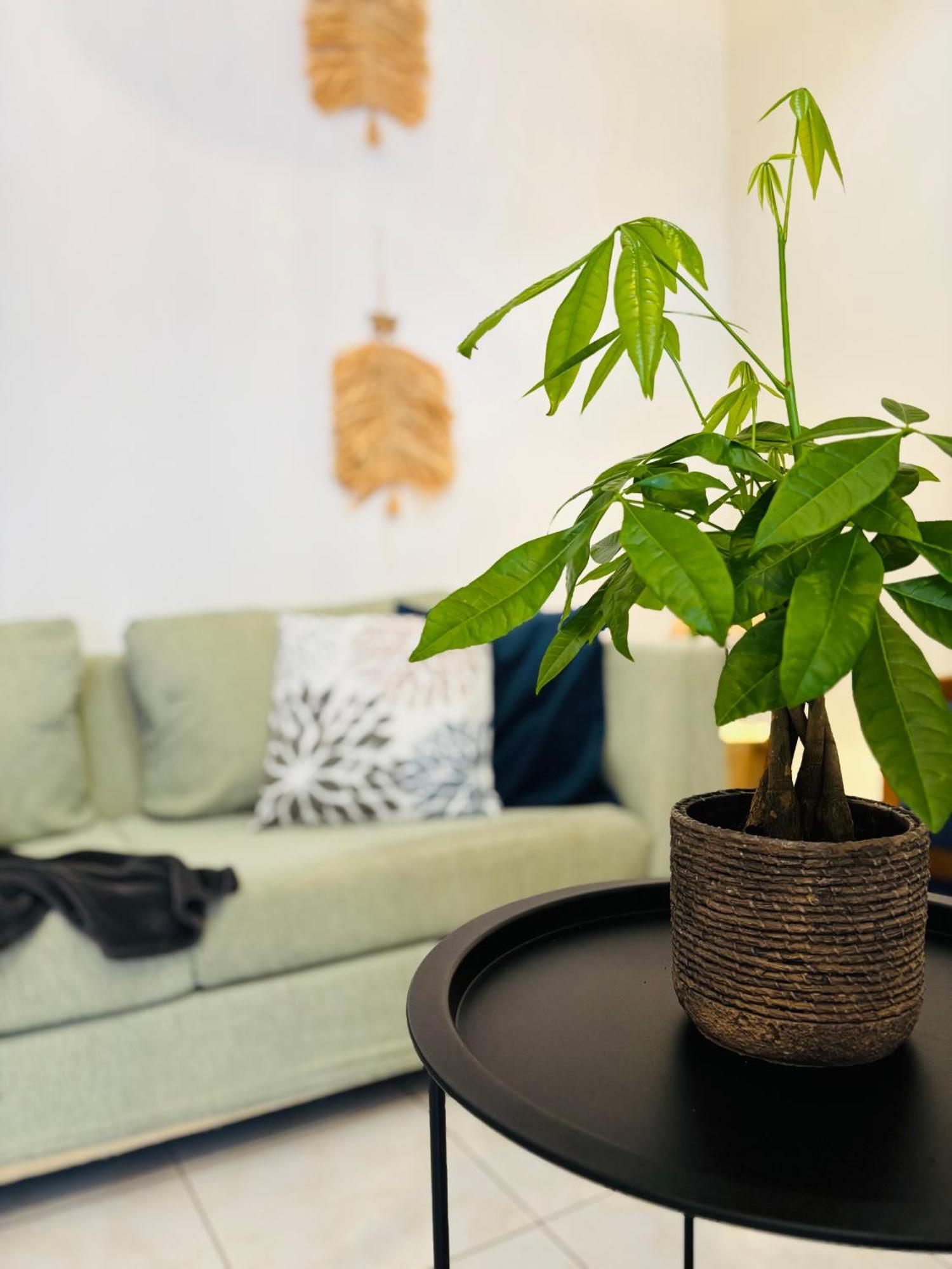 Sofitaki Apartment อาร์กอสโตลี ภายนอก รูปภาพ